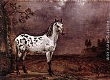 The Spotted Horse by Paulus Potter